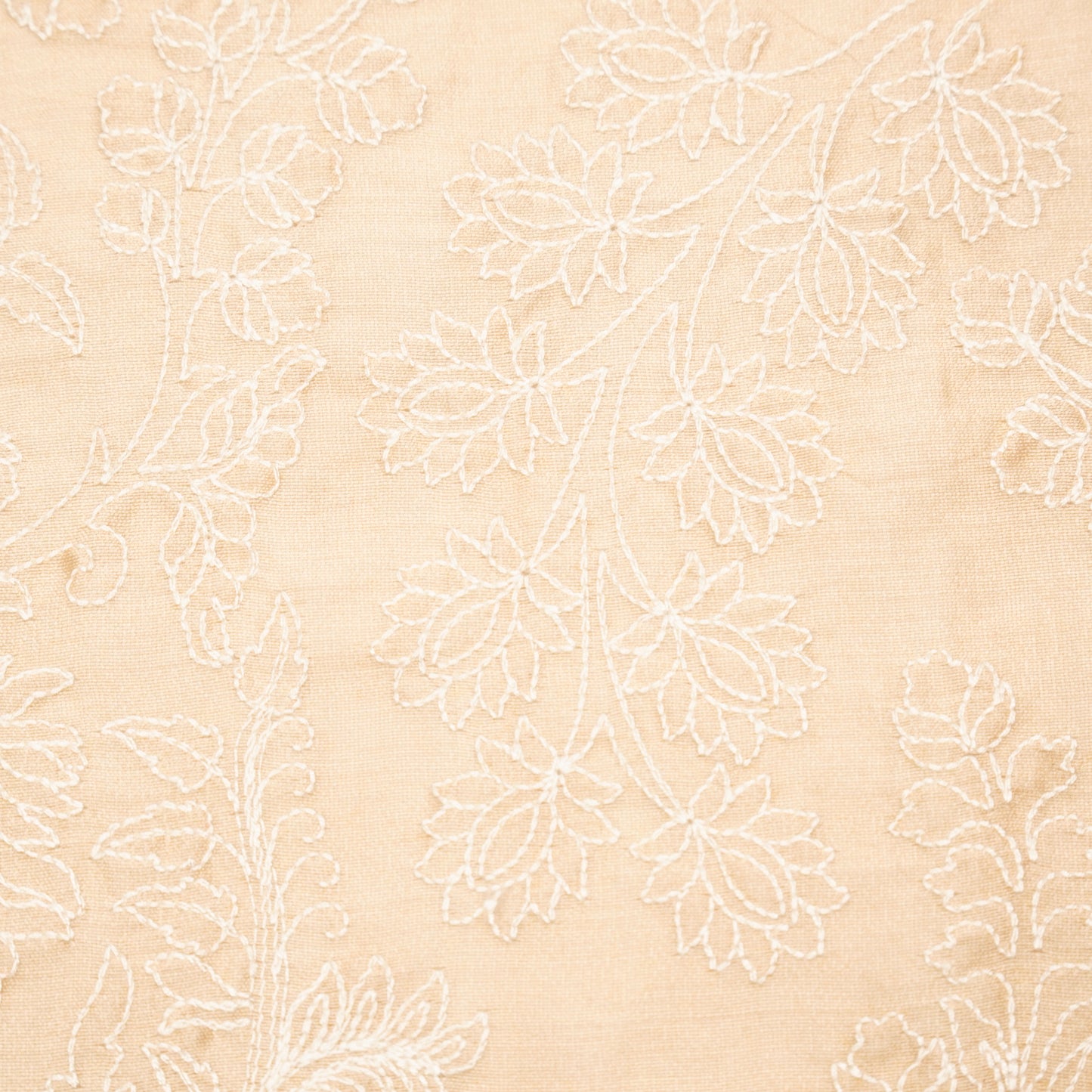 Kainaat Beige Chanderi Embroidered Fabric in Jaal Pattern