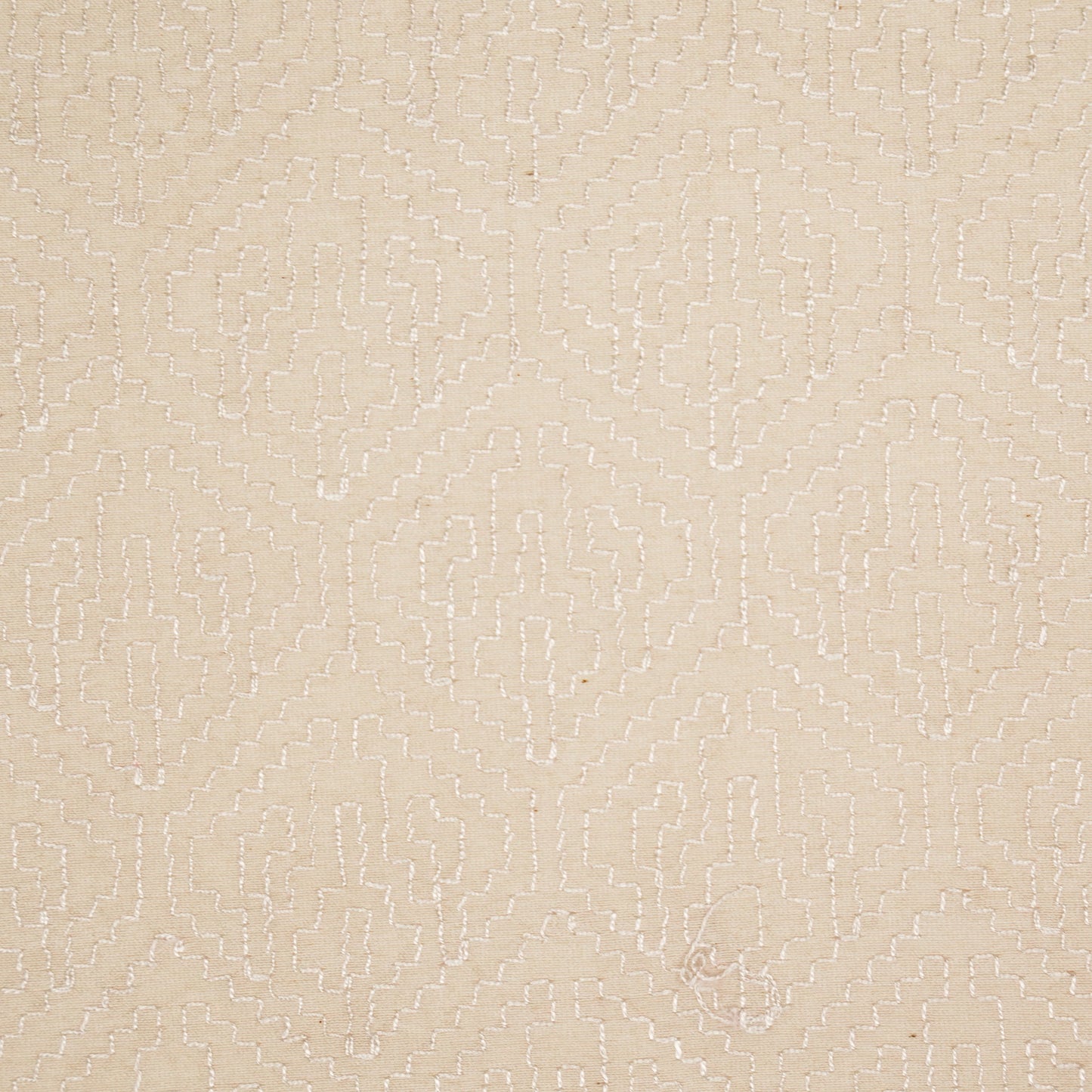 Valiga Ivory Chanderi Embroidered Fabric in Jaal Pattern